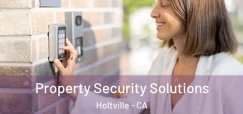  Property Security Solutions Holtville - CA